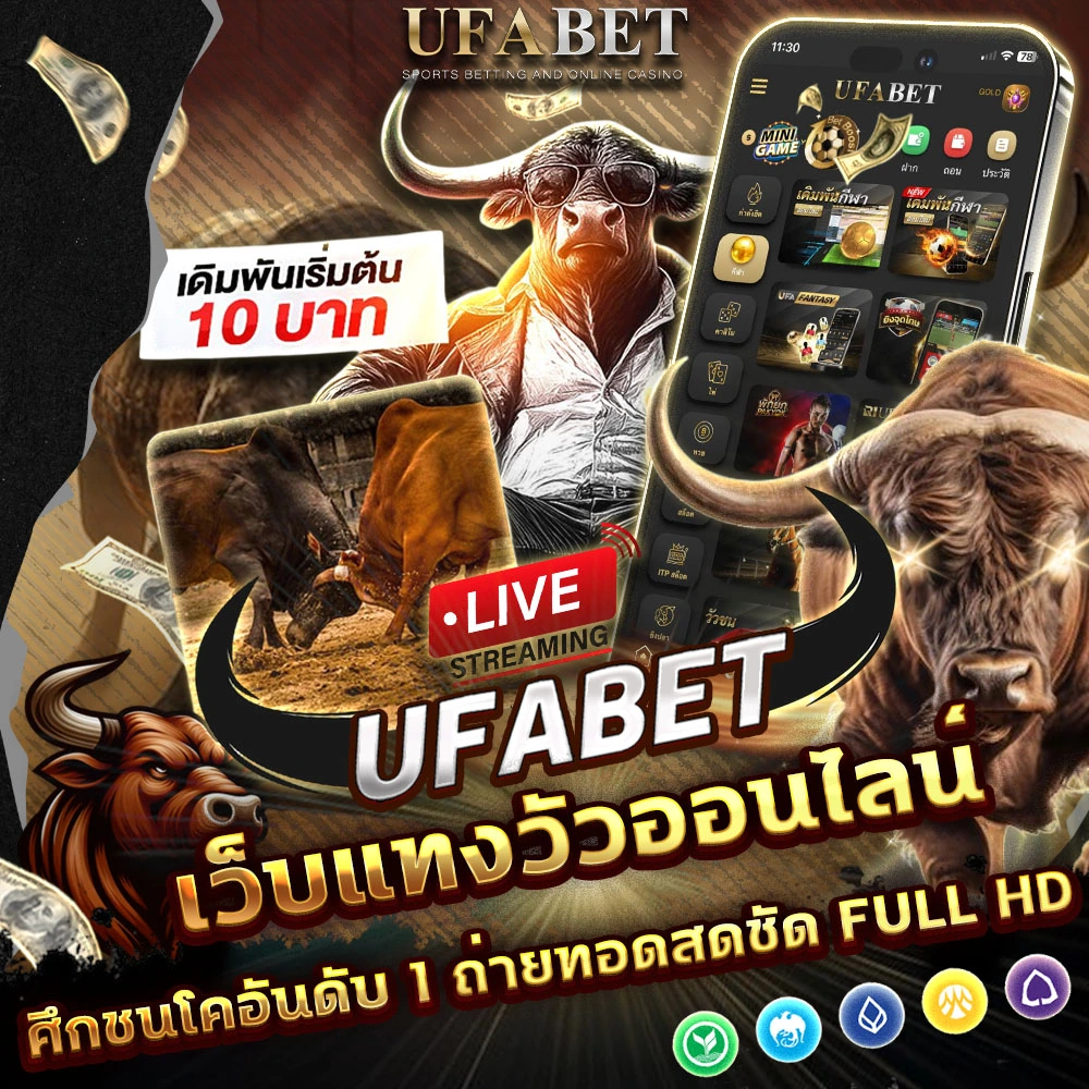 วัวชนออนไลน์ UFABET